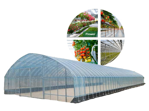 Vegetable/fruit/seed film greenhouse